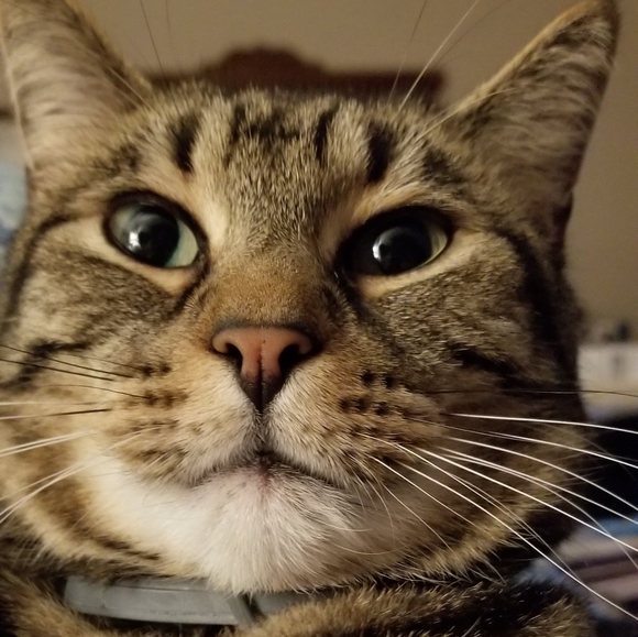 Meet your Posher, Melanie - Picture 2 of 7